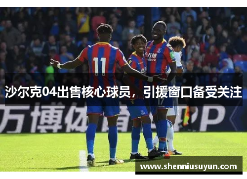沙尔克04出售核心球员，引援窗口备受关注