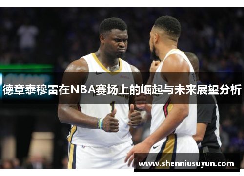 德章泰穆雷在NBA赛场上的崛起与未来展望分析