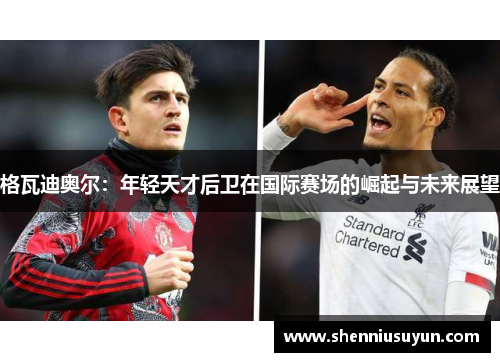 格瓦迪奥尔：年轻天才后卫在国际赛场的崛起与未来展望